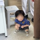 오렌터카 | 오키나와 렌트카 클룩 릴렉스 렌터카 델리카 미쓰비시D5 내돈내산 후기