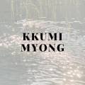 꾸미myong
