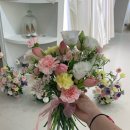 W8. 전주 스드메 케이라웨딩 웨딩촬영 후기