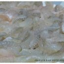 연제초등학교 이미지