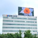 서부광고스카이 이미지