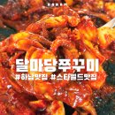 스피드메이트 스타필드 하남점 | 하남 스타필드 맛집 달마당쭈꾸미 초승달정식 후기