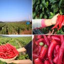 수만농장 이미지