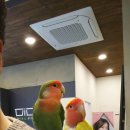 아이앤안경 이미지