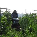 원반농장 이미지