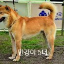 초희 이미지