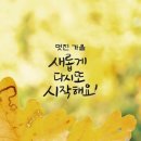 작은여우 이미지