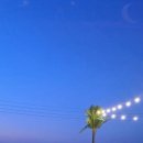 골든풀빌라 이미지