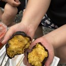 용소캠핑장 이미지