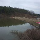 영천 참붕어 이미지