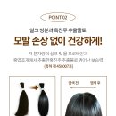 버블앤