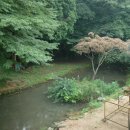 용화사 앞 이미지
