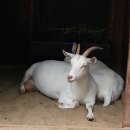 작은동물원 이미지