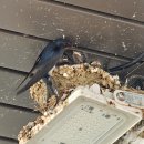 유관순열사기념관 이미지