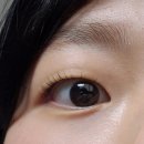 레이지연화 | 공덕역 속눈썹 추천 뮬라인 속눈썹펌 후기