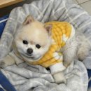 쁄라뷰티
