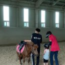 경남 승마체험 밀양 말보르승마장 아이와가볼만한곳