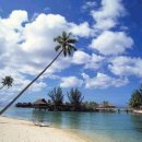 남태평양 이미지