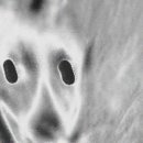 유 여성 사우나 이미지