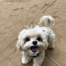 즐거운유치원 이미지