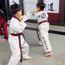 맹호 태권도장 이미지