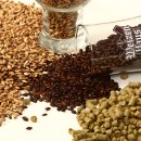 바이젠하우스 이미지