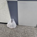 데일리프룻 네이버블로그