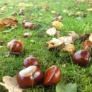 용봉농장 이미지