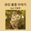 이든타이아로마 | [와인 품종 이야기 EP.2] 리슬링 - 어떤 음식과도 잘 어울리는 팔색조 매력의 화이트 와인 (품종 특징...