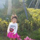 깔롱쟁이 이미지