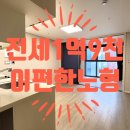 이편한드림공인중개사사무소 이미지
