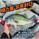 수문 | 충남 배스 금강 수문포인트 5짜 런커후기