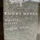 사직로 R | 부디무드라 서촌 / 브라탑 커버업 오프라인 매장 구매 후기