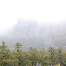 김해묘역 이미지