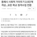 동해시민 전체 코로나 검사 실시 예정 이미지