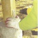 노블하우스 이미지