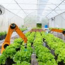 관수축산 이미지