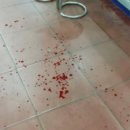 밀레니엄 오락실 이미지