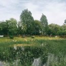 평택호정원 이미지