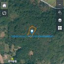 소나무부동산공인중개사사무소 이미지