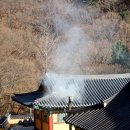 영주 비로사 석조아미타여래좌상 | [경북 영주시] 비로사