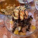 오비베어 이미지