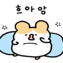 무주홀리데이파크 이미지