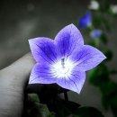 후레시컴퓨터