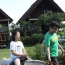 로즈마리 관광펜션 이미지