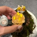 유리부엌숯불구이반상 | [역삼맛집] 내돈내산 강남 상견례식당 대만족 ‘고우가 강남역삼점’ 런치C코스 후기