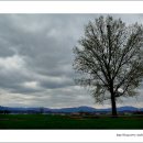 하늘구름목장 이미지