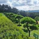 백산목장 이미지