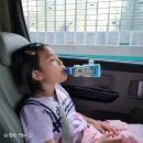 [충북 보은 여행] &#39;법주사&#39; 찍고 매년 가는 &#39;산모랭이 풀내음 펜션&#39;으로~! / 아이와 함께 가면 너무...