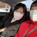 노현농장 | [제주도] 노남매와의 다음날, 한라봉 따러가유🍊(쇠소깍,바람에 머물다,귤농장)/No.13